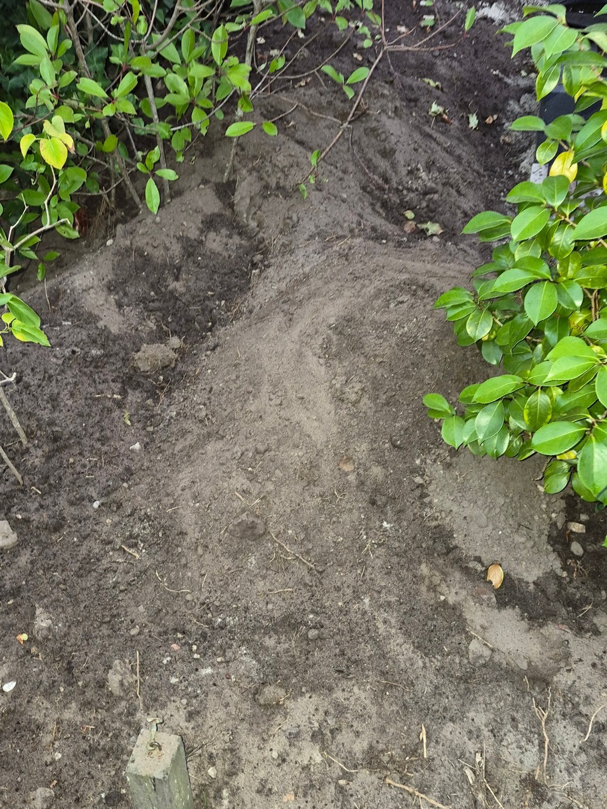 Gratis zwart zand /grond, Tuin en Terras, Zand, Ophalen, Overige typen