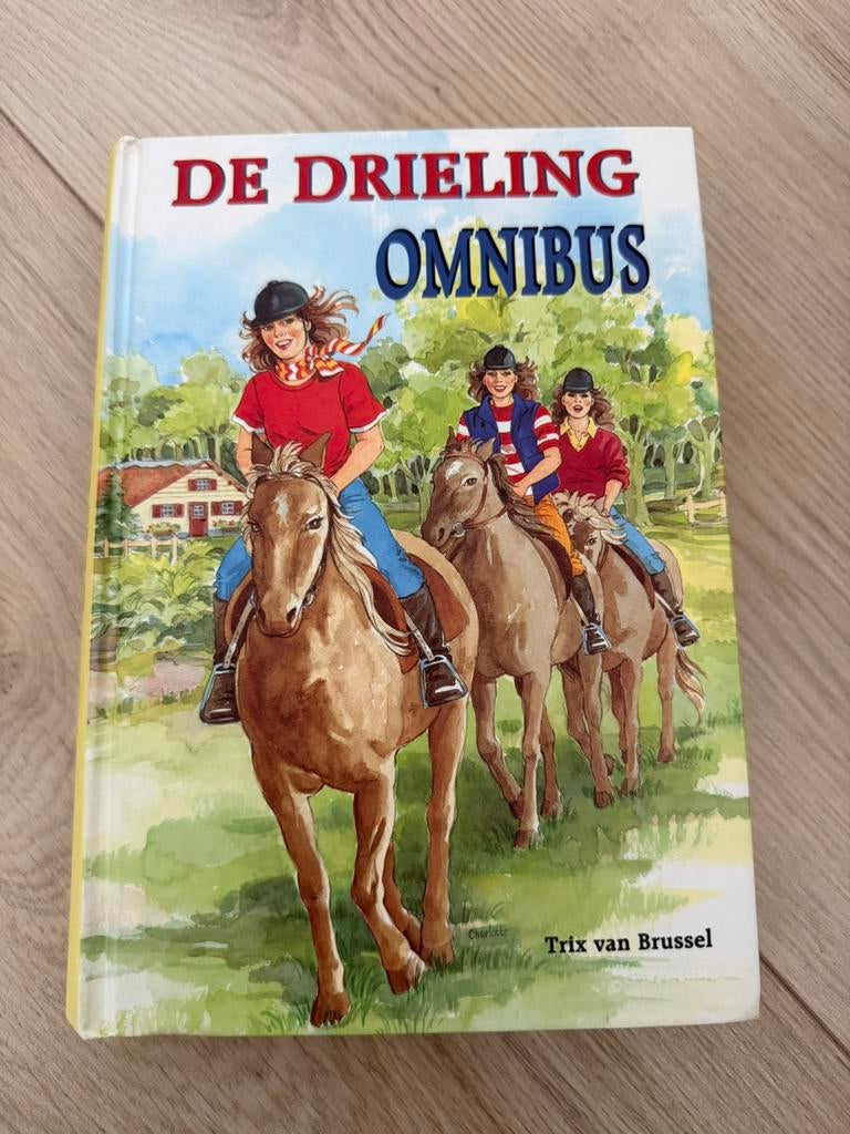 De drieling omnibus - (T.E.A.B), Ophalen of Verzenden, Gelezen, Fictie algemeen