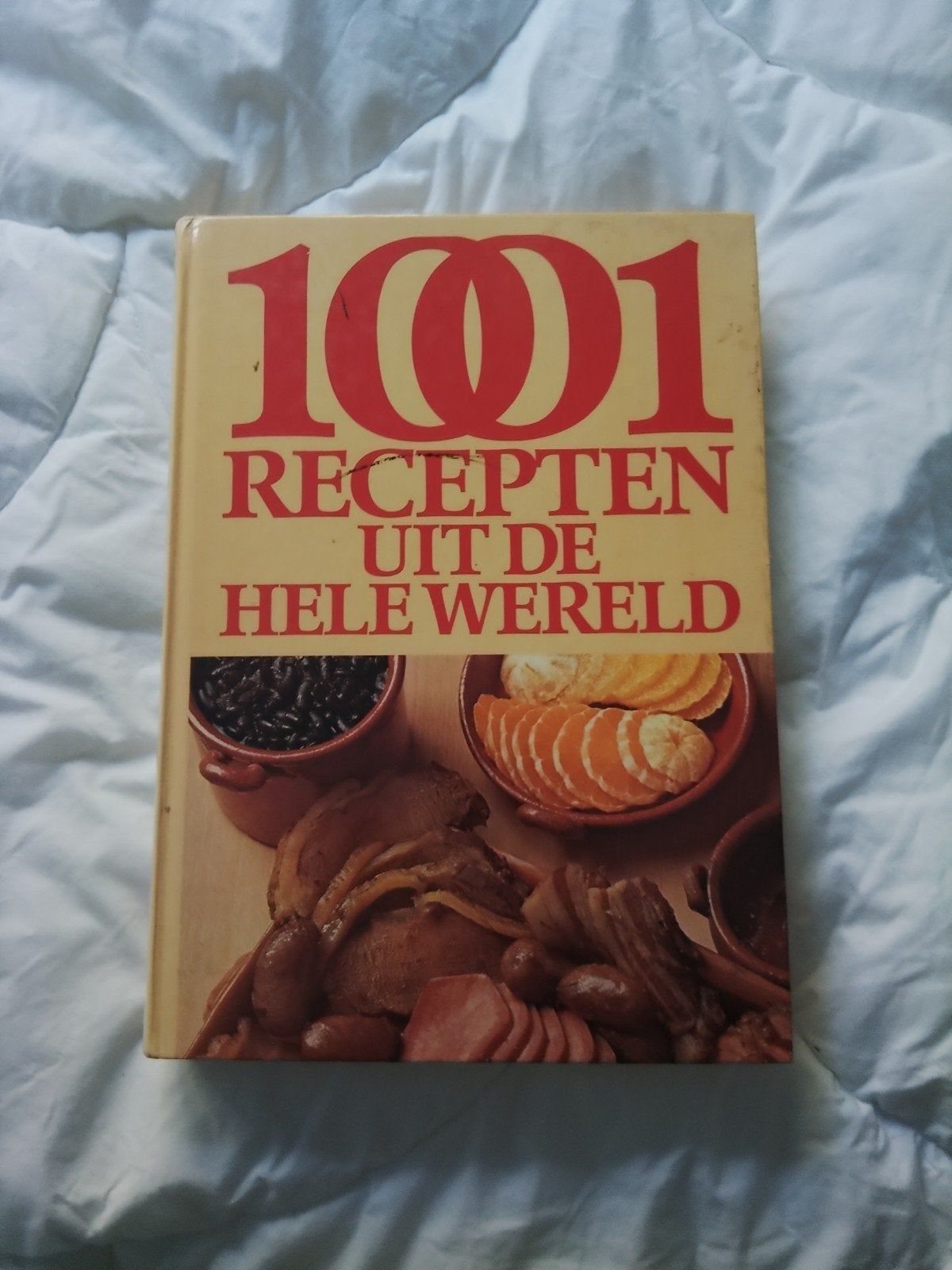 101 Recepten uit de Hele Wereld - Kookboek, Boeken, Ophalen of Verzenden, Hoofdgerechten, Overige gebieden, Onbekend