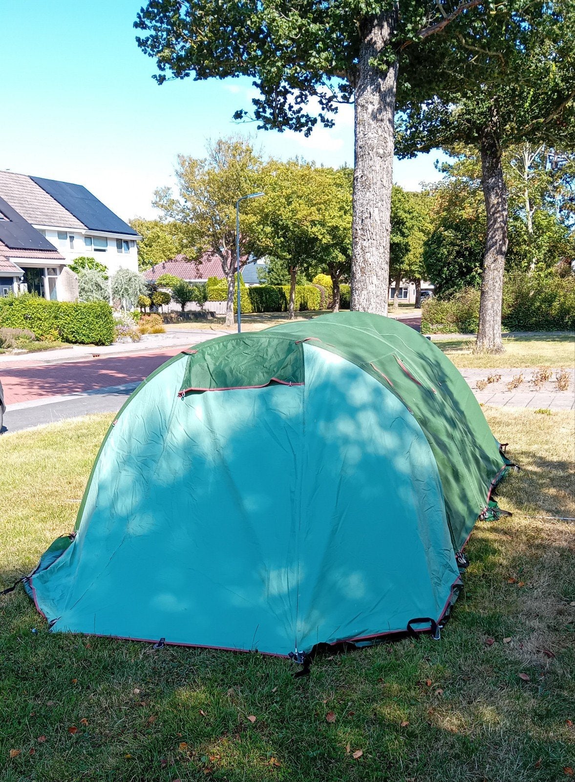 FALCO Boomvalk 3 - 2/3 persoons tunneltent, Caravans en Kamperen, Ophalen, Zo goed als nieuw
