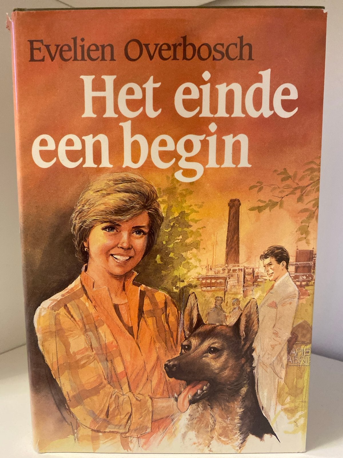 Evelien Overbosch - Het einde een begin (Roman), Ophalen of Verzenden, Gelezen, Nederland