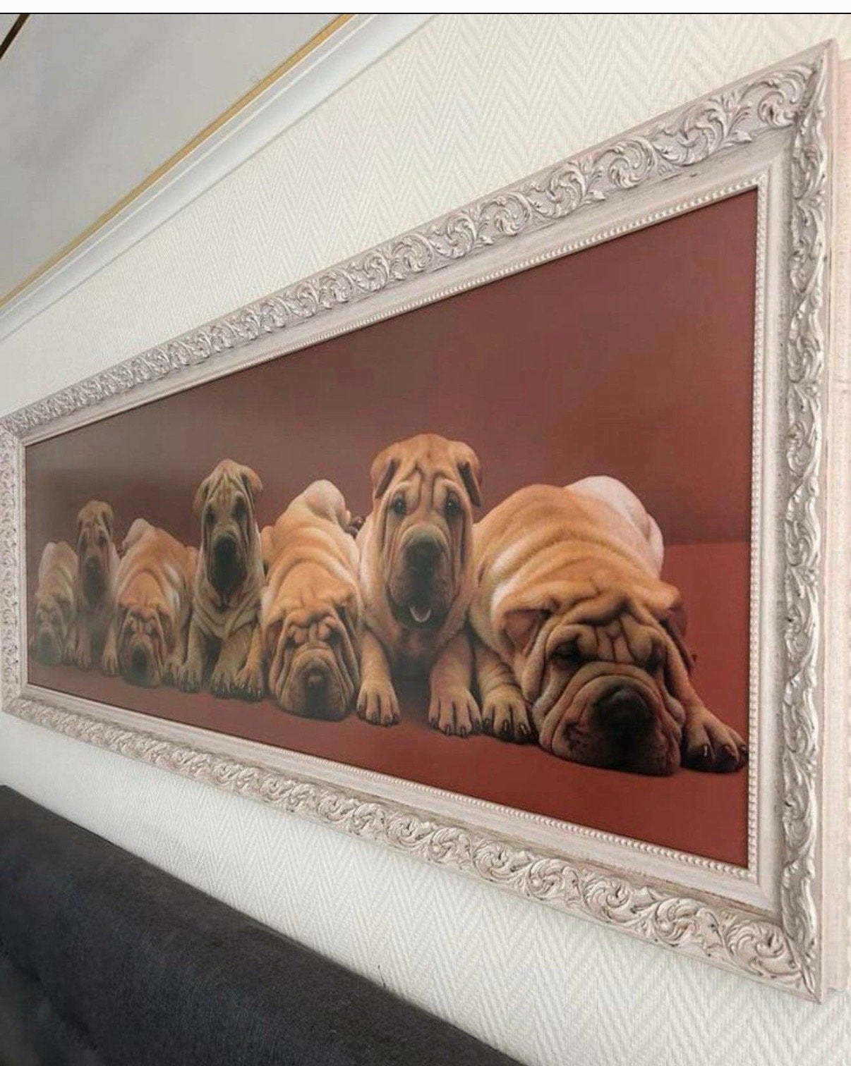 Schilderij Shar-Pei honden in sierlijke lijst, Ophalen, 50 – 75, Zo goed als nieuw, Schilderij