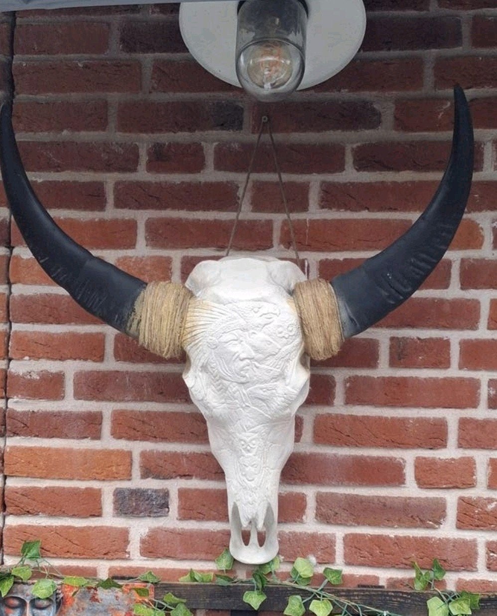 Stieren/buffel kop, Ophalen
