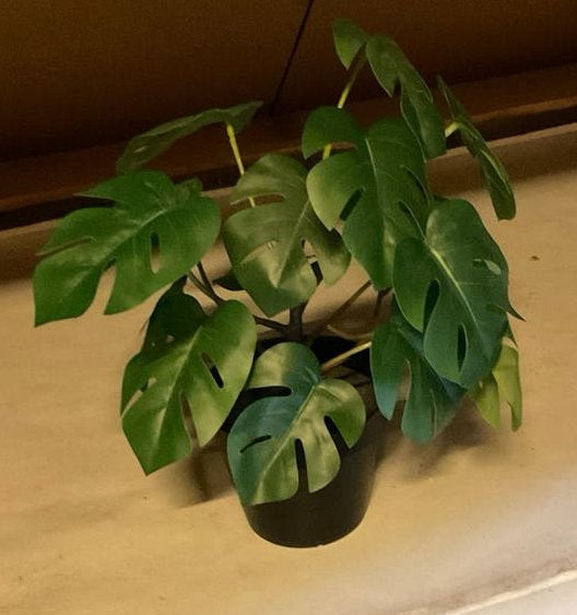IKEA Nepplant in goede staat - Alleen ophalen, Ophalen, Binnen, Groen, Kunstplant