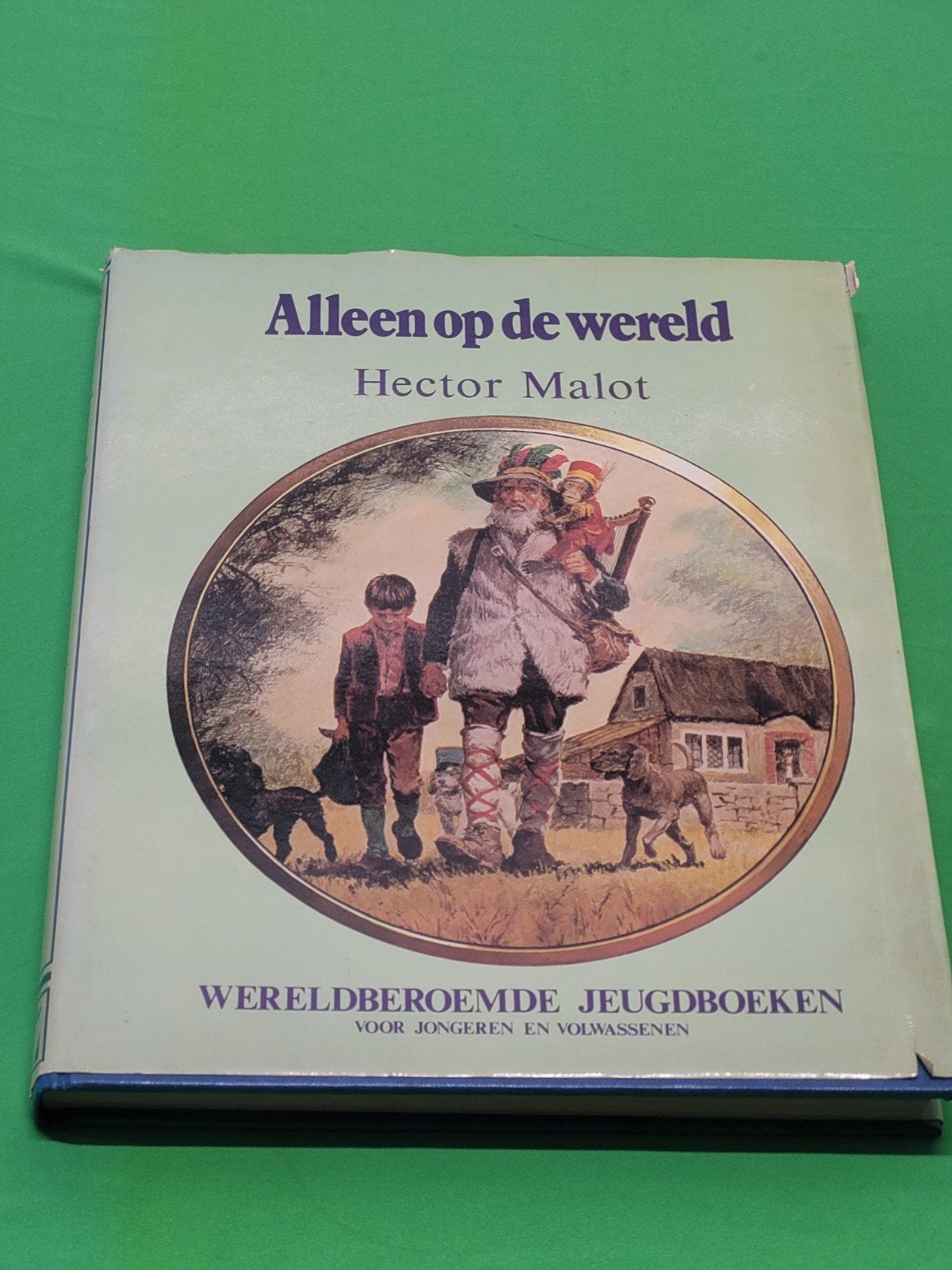 Boek Alleen op de wereld van Hector Malot, Ophalen of Verzenden, Gelezen, Non-fictie
