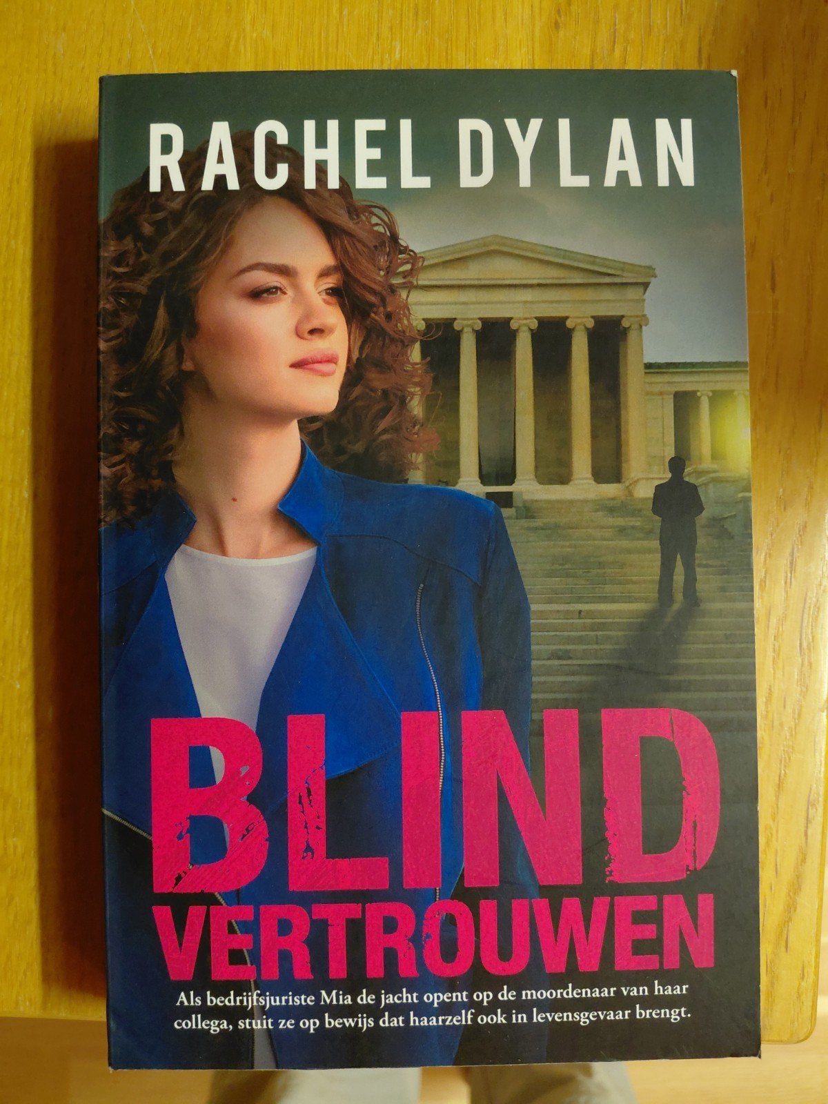 Rachel Dylan - Blind vertrouwen, Boeken, Ophalen of Verzenden, Zo goed als nieuw, Rachel Dylan