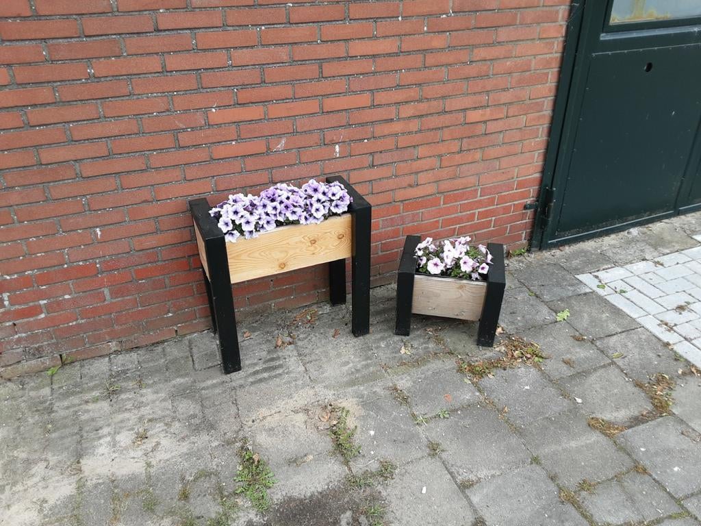 Douglas Bloembak met kunststof binnenbak, Tuin en Terras, Bloembakken en Plantenbakken, Nieuw, Ophalen of Verzenden, Balkon, 60 tot 100 cm
