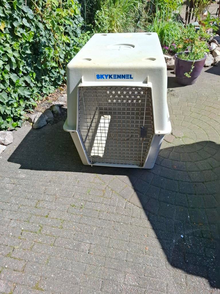 Te koop gebruikte Sky bench, Ophalen, Gebruikt