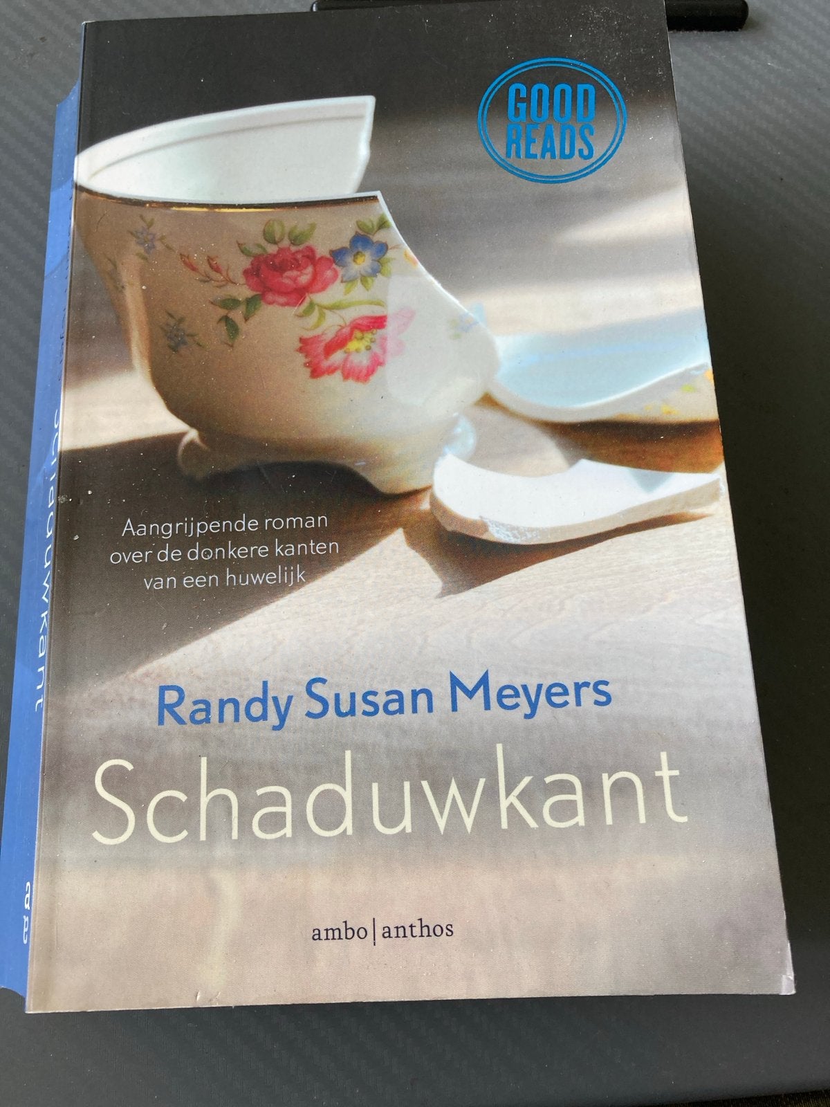 Schaduwkant - Randy Susan Meyers (Good Reads), Boeken, Ophalen of Verzenden, Zo goed als nieuw, Nederland