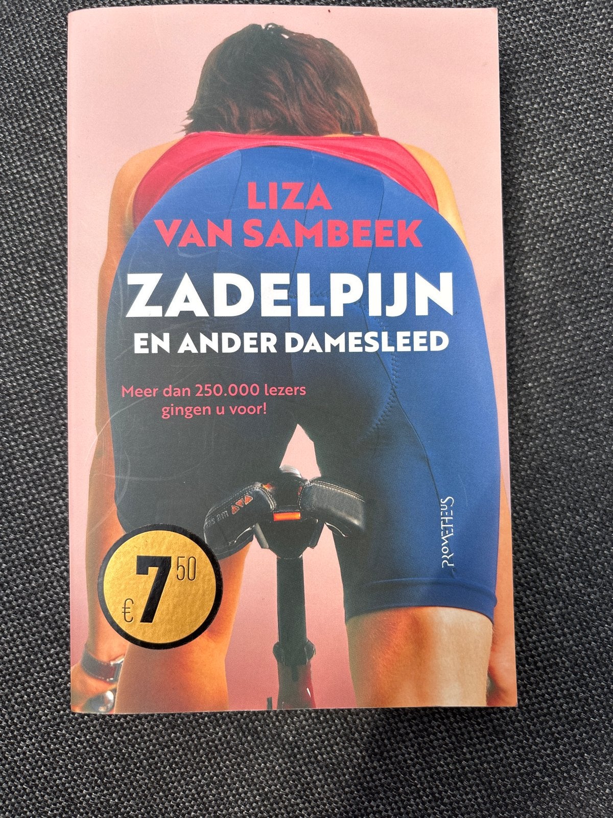 Boek: Zadelpijn en ander damesleed - Liza van Sambeek, Boeken, Ophalen of Verzenden, Gelezen, Nederland