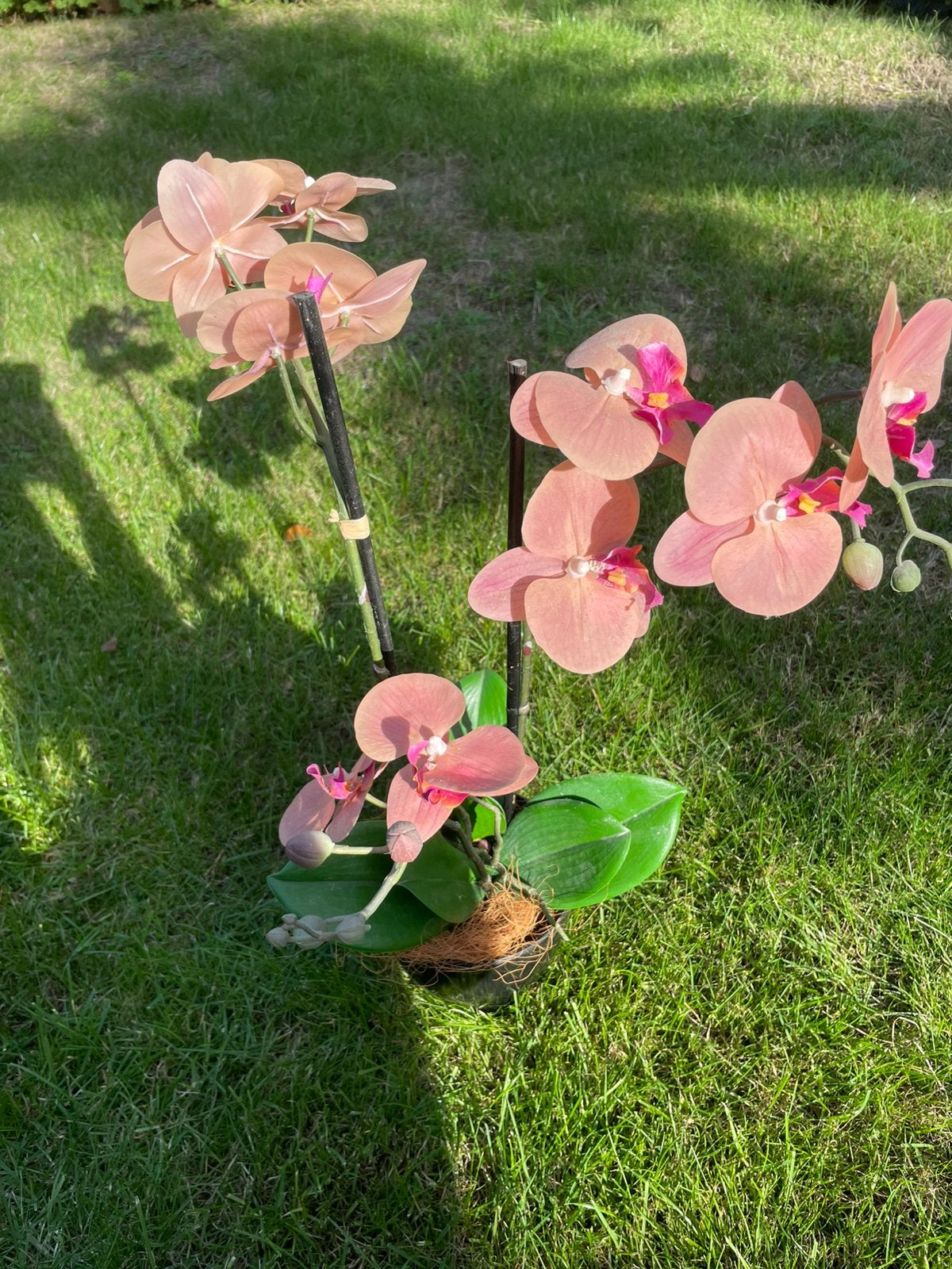 Kunst orchidee in zwarte pot, Huis en Inrichting, Ophalen of Verzenden, Zo goed als nieuw