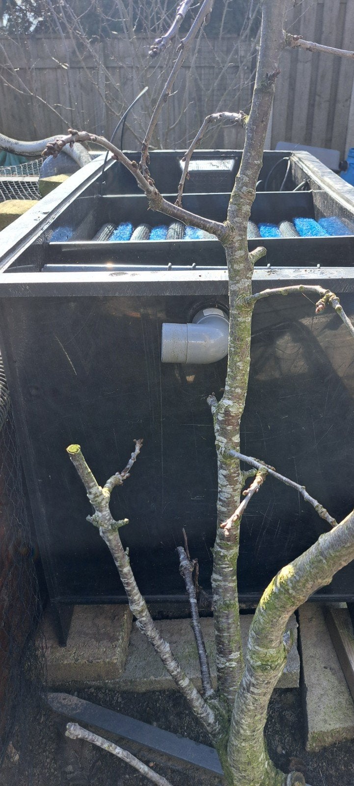 Groot vijverfilter met biologische en mechanische filtering, Ophalen of Verzenden, Gebruikt, Vijverfilter