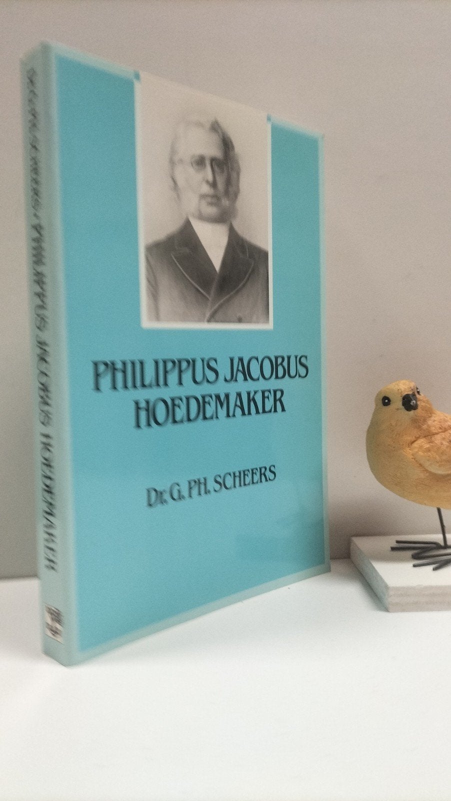Scheers, Dr. G. Ph.; Philippus Jacobus Hoedemaker, Ophalen of Verzenden, Gelezen, Christendom | Protestants