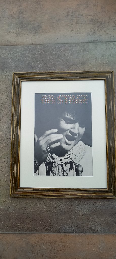 elvis schilderij, Verzamelen, Ophalen of Verzenden, Zo goed als nieuw, Poster, Artwork of Schilderij