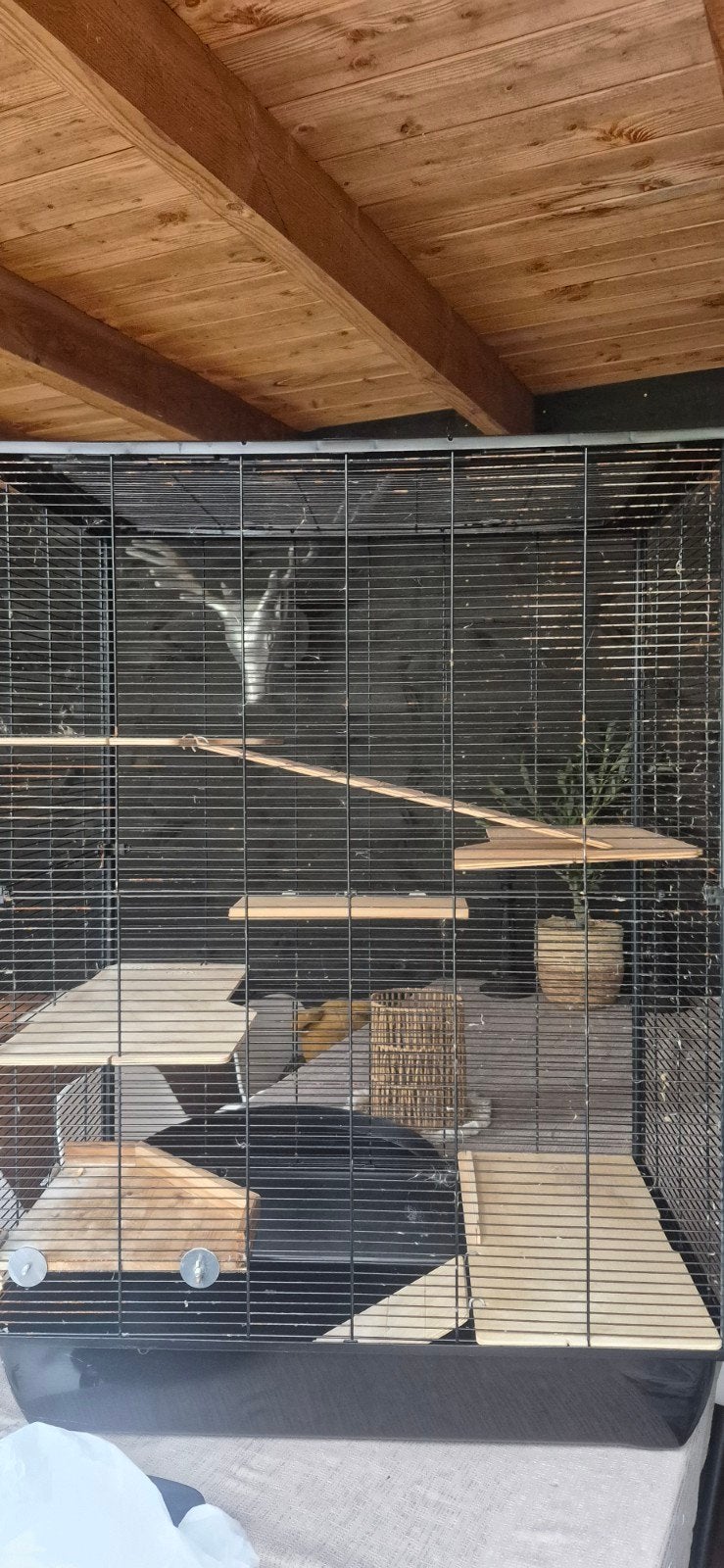 Dubbele Zolux Neo kooi, Dieren en Toebehoren, Ophalen, Kooi, Gebruikt, Muis