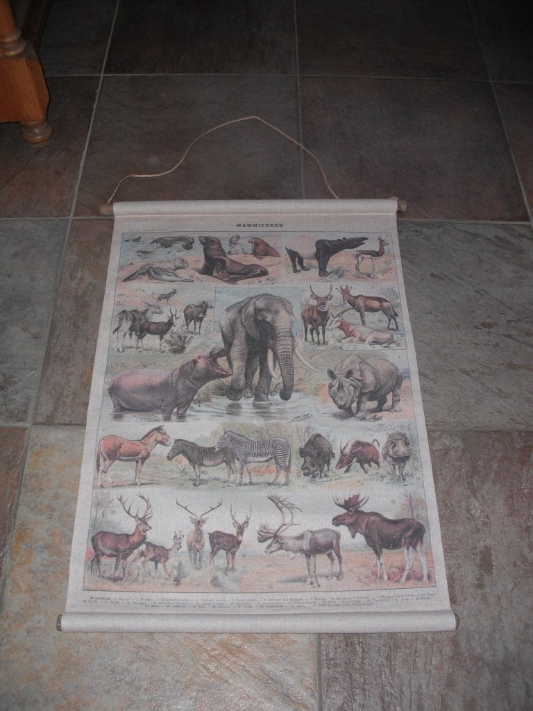 Wandkleed, Ophalen of Verzenden, Zo goed als nieuw, Overige stijlen, Wandkleed