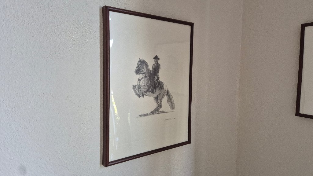 Fotoprent in lijst 2x paard, Ophalen, Zo goed als nieuw, Fotolijst, Overige kleuren