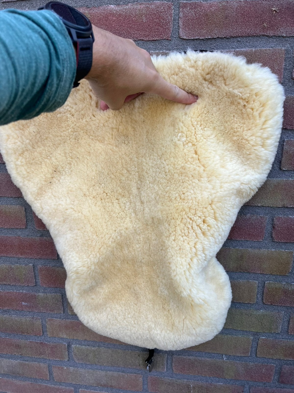Paardrijden zadel vacht, Ophalen, Zo goed als nieuw