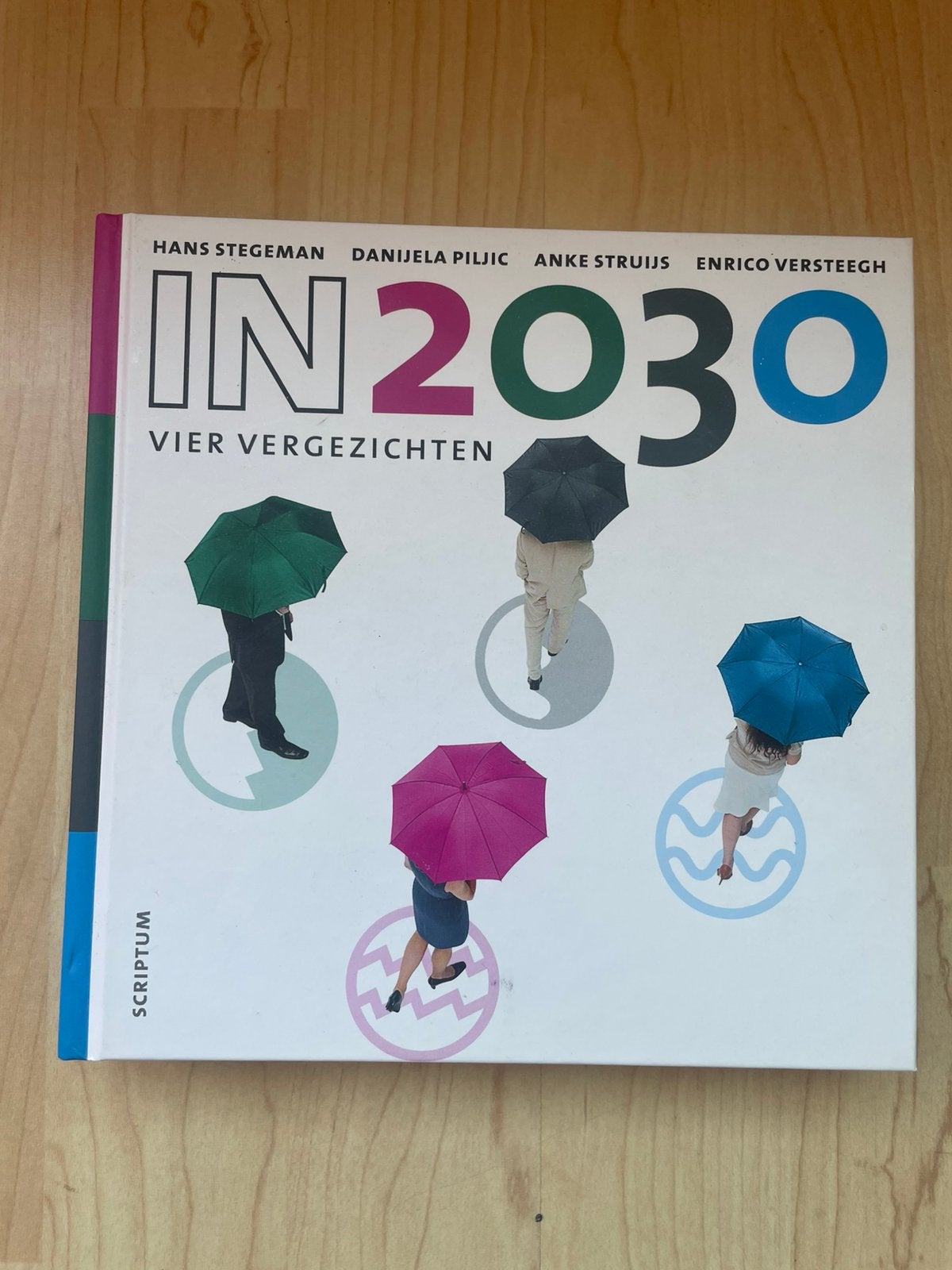 Hans Stegeman - In 2030 vier vergezichten, Ophalen of Verzenden, Zo goed als nieuw, Hans Stegeman; Danijela Piljic; Anke Struijs; Enrico Versteegh