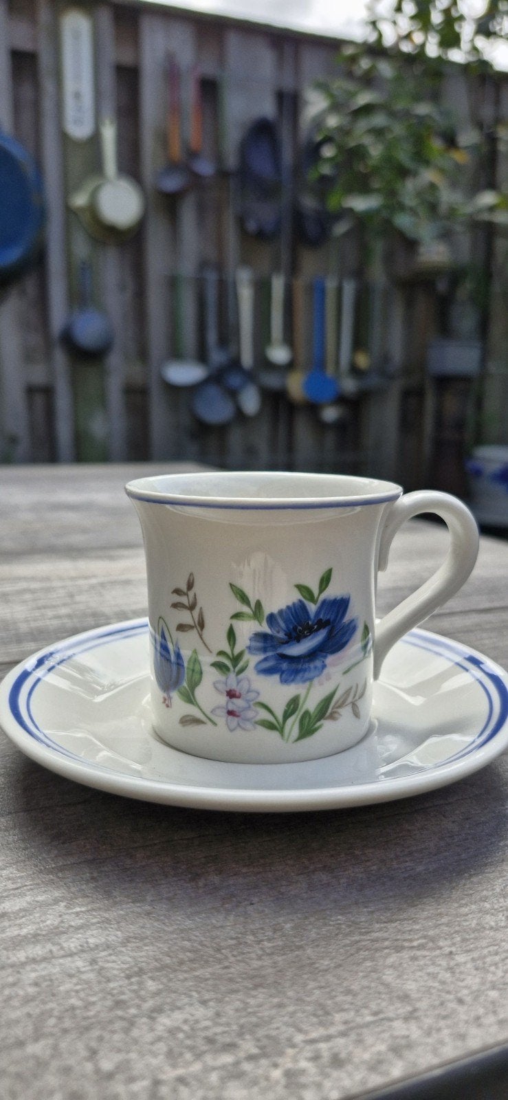 Royal Albert Country Garden Meadow Song kop en schotel, Ophalen of Verzenden