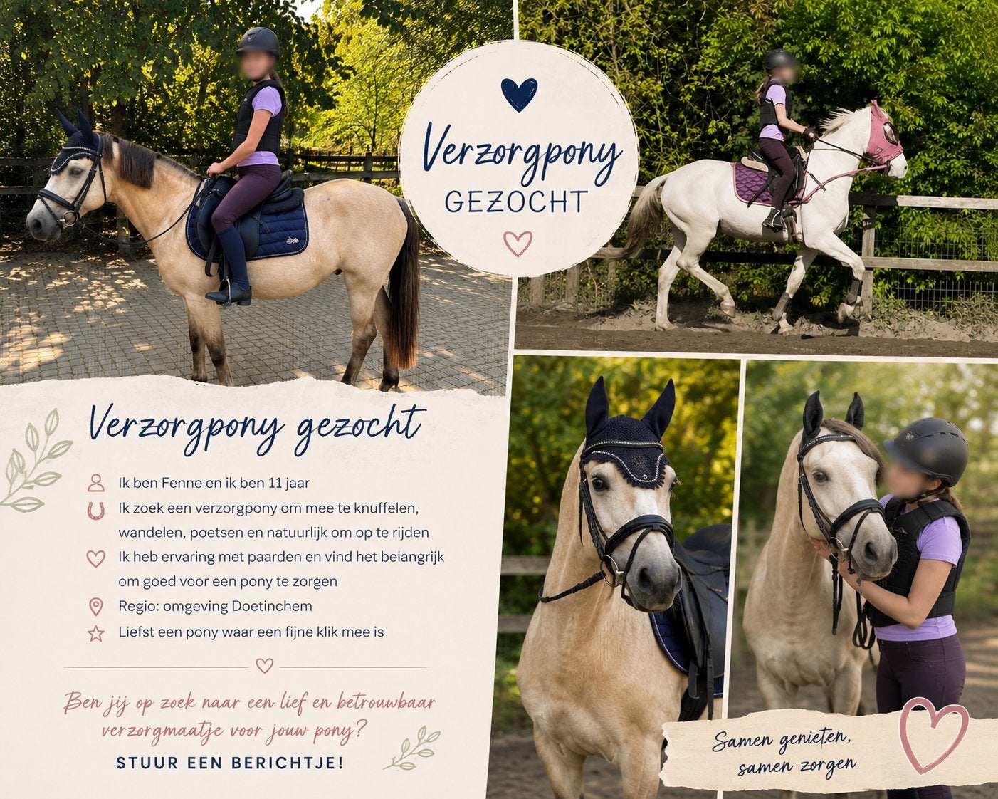 Verzorgpony/paard gezocht ongeving Doetinchem, Ophalen, Nieuw