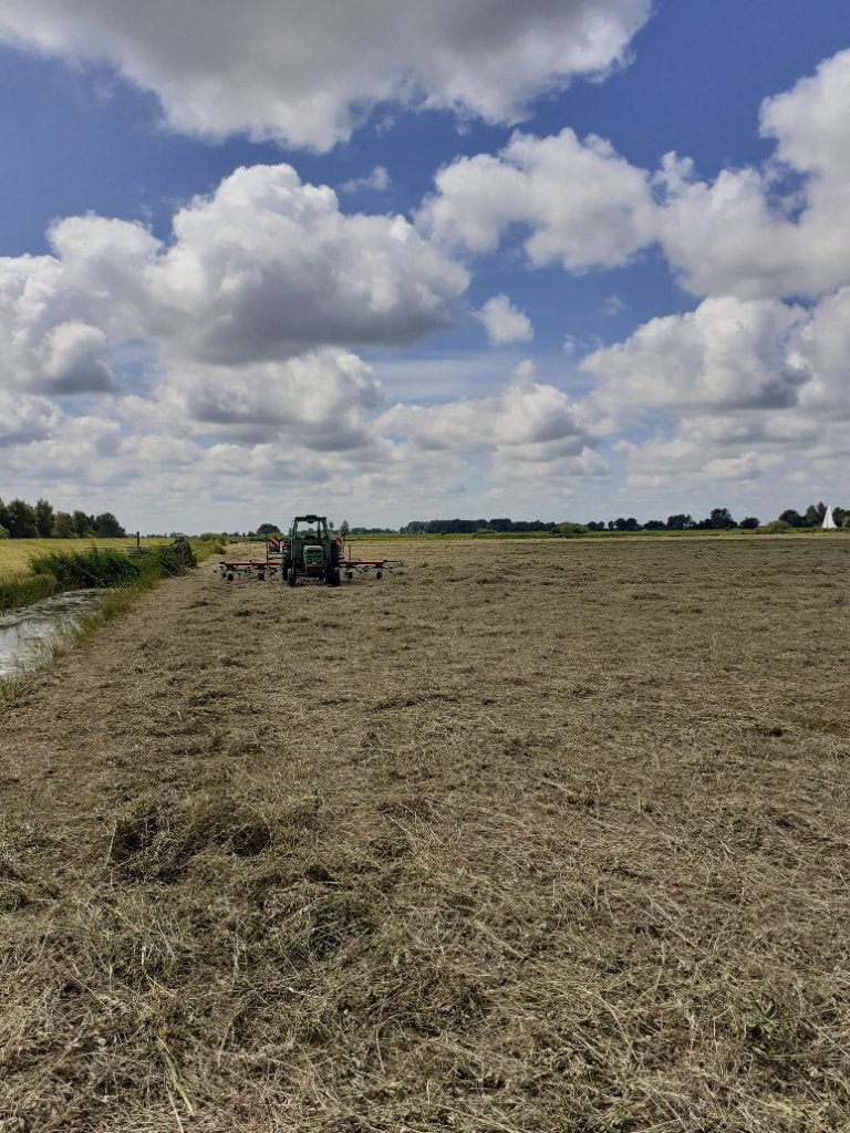 Te koop mooi hooi, Ophalen of Verzenden, Vee