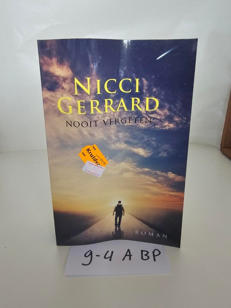 Nicci Gerrard - Nooit Vergeten, Boeken, Romans, Ophalen of Verzenden