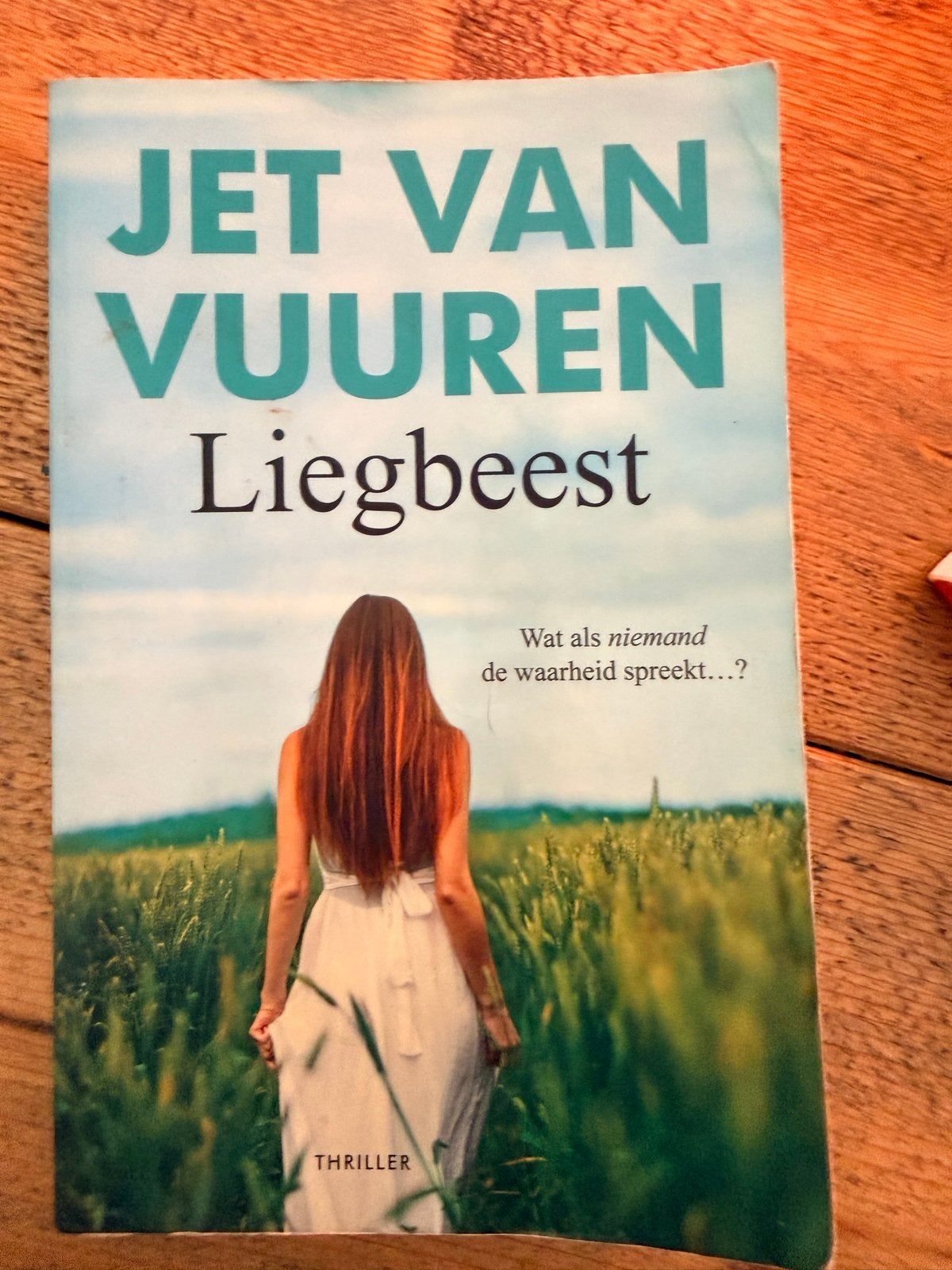 Jet van Vuuren - Liegbeest (Thriller), Ophalen of Verzenden, Gelezen