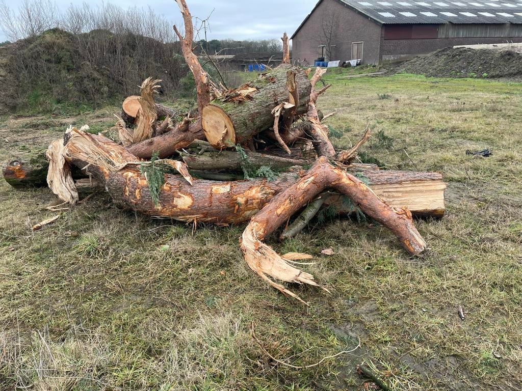 Houten stammen, Tuin en Terras, Haardhout, Minder dan 3 m³, Ophalen of Verzenden, Overige houtsoorten, Stammen