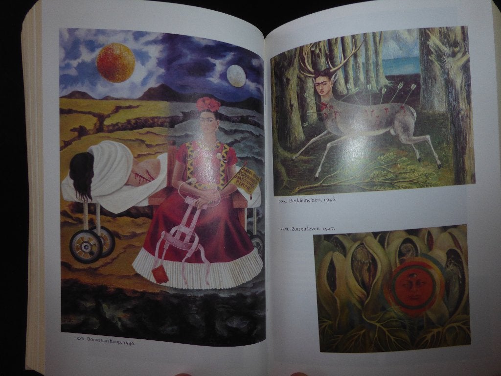 Frida - Een biografie v Frida Kahlo - Hayden Herrera, Ophalen of Verzenden, Gelezen, Kunst en Cultuur