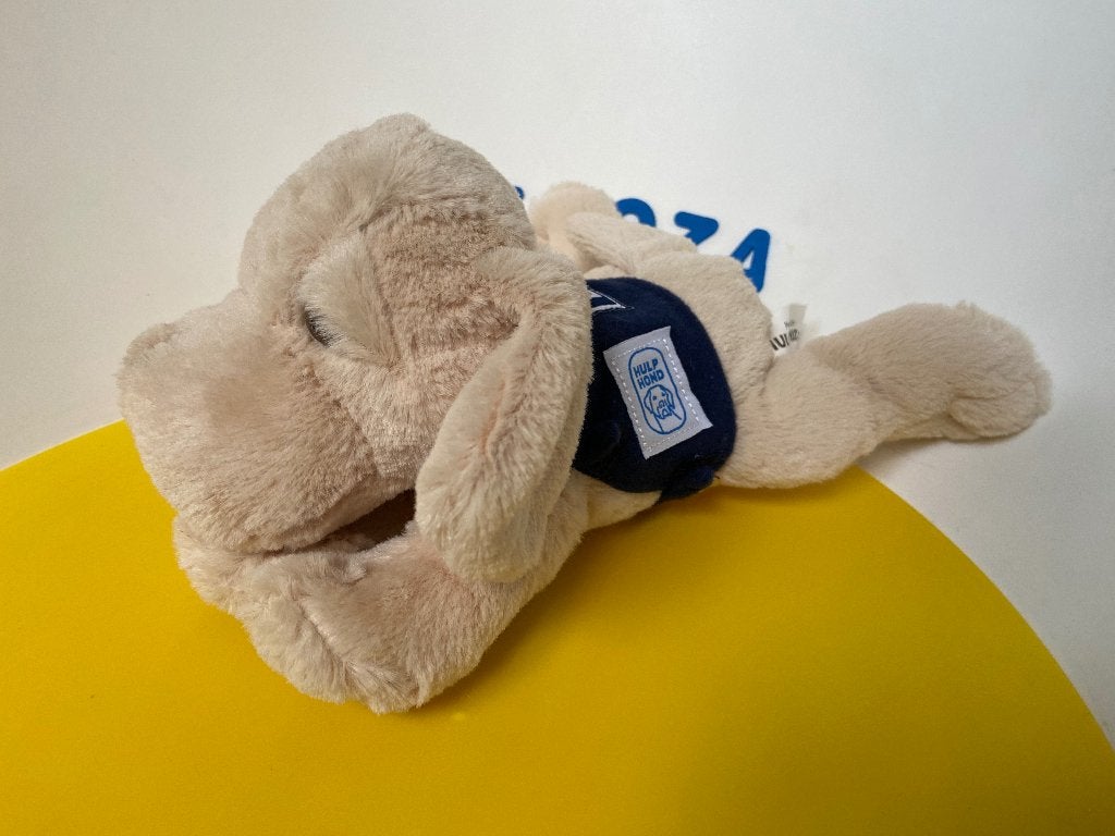 K2672 Hulphond hond Flip, Ophalen of Verzenden, Zo goed als nieuw, Overige typen