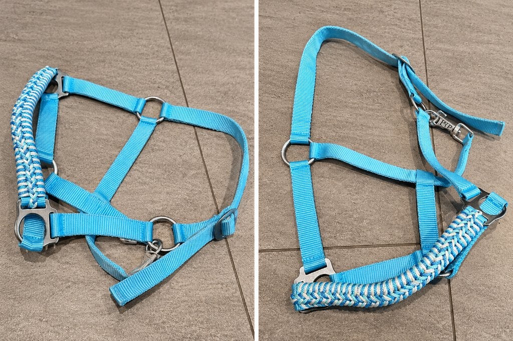 Lichtblauwe nylon halster maat cob, Overige disciplines, Verzenden, Zo goed als nieuw, Blauw