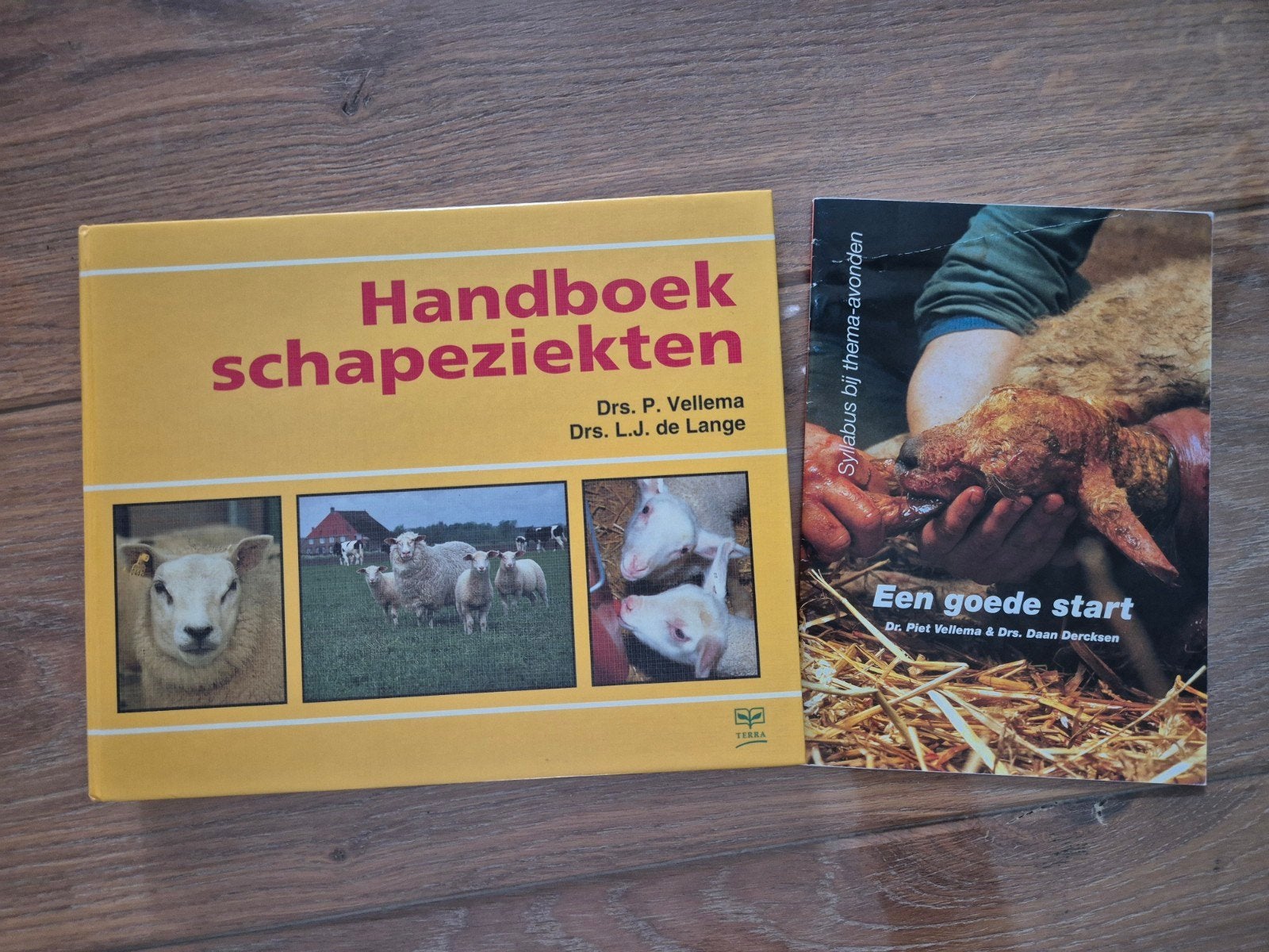 P. Vellema - Handboek schapeziekten, Ophalen of Verzenden, Zo goed als nieuw, P. Vellema; L.J. de Lange