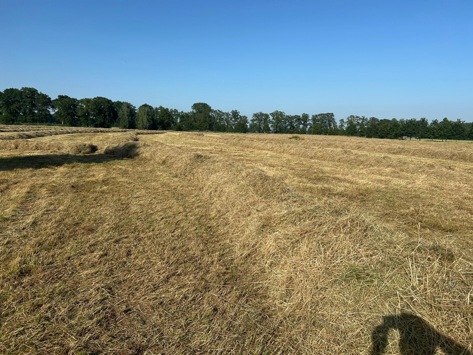 Bio folie hooibalen, Ophalen of Verzenden