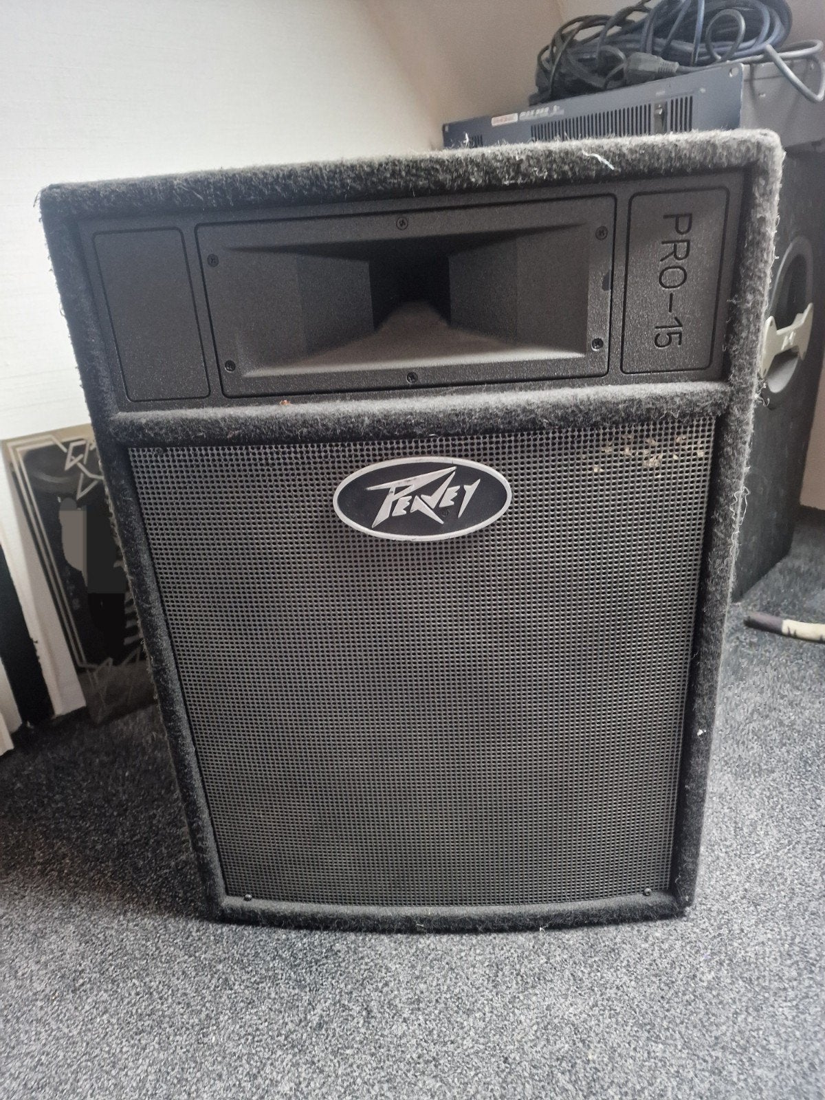 Peavey 15 pro 2x, Muziek en Instrumenten, Ophalen, Gebruikt, 100 watt of meer