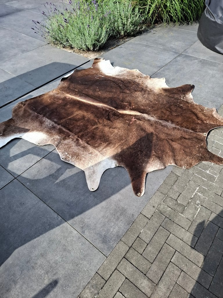 Koeien huid, Ophalen of Verzenden, Rechthoekig, 200 cm of meer, 50 tot 100 cm