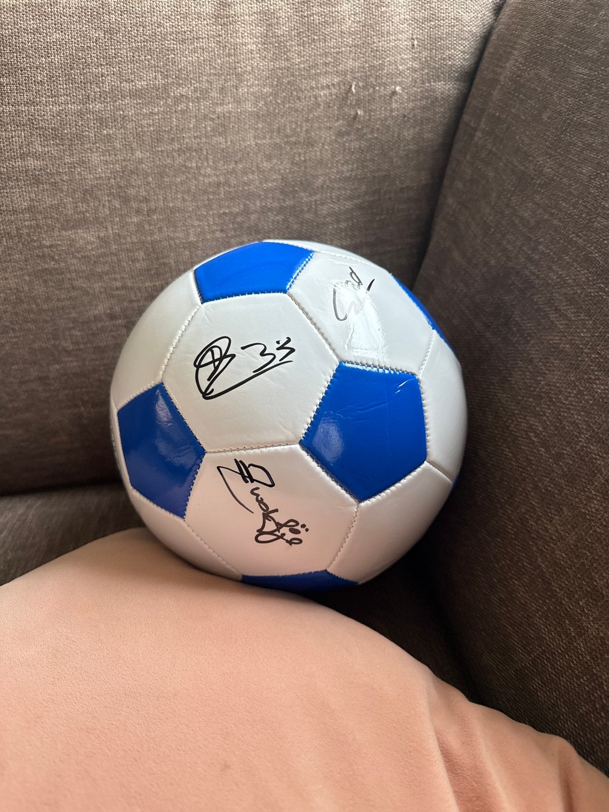Gesigneerde voetbal PEC Zwolle en Zwolfjes, Ophalen, Nieuw, Bal