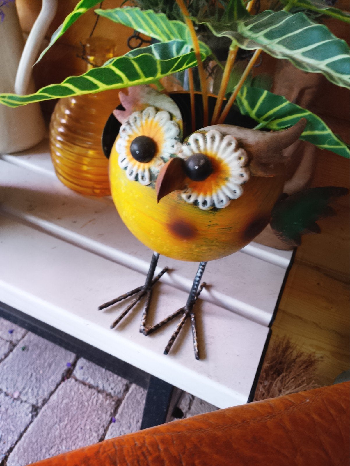 leuke ijzeren uil, Meerdere dieren