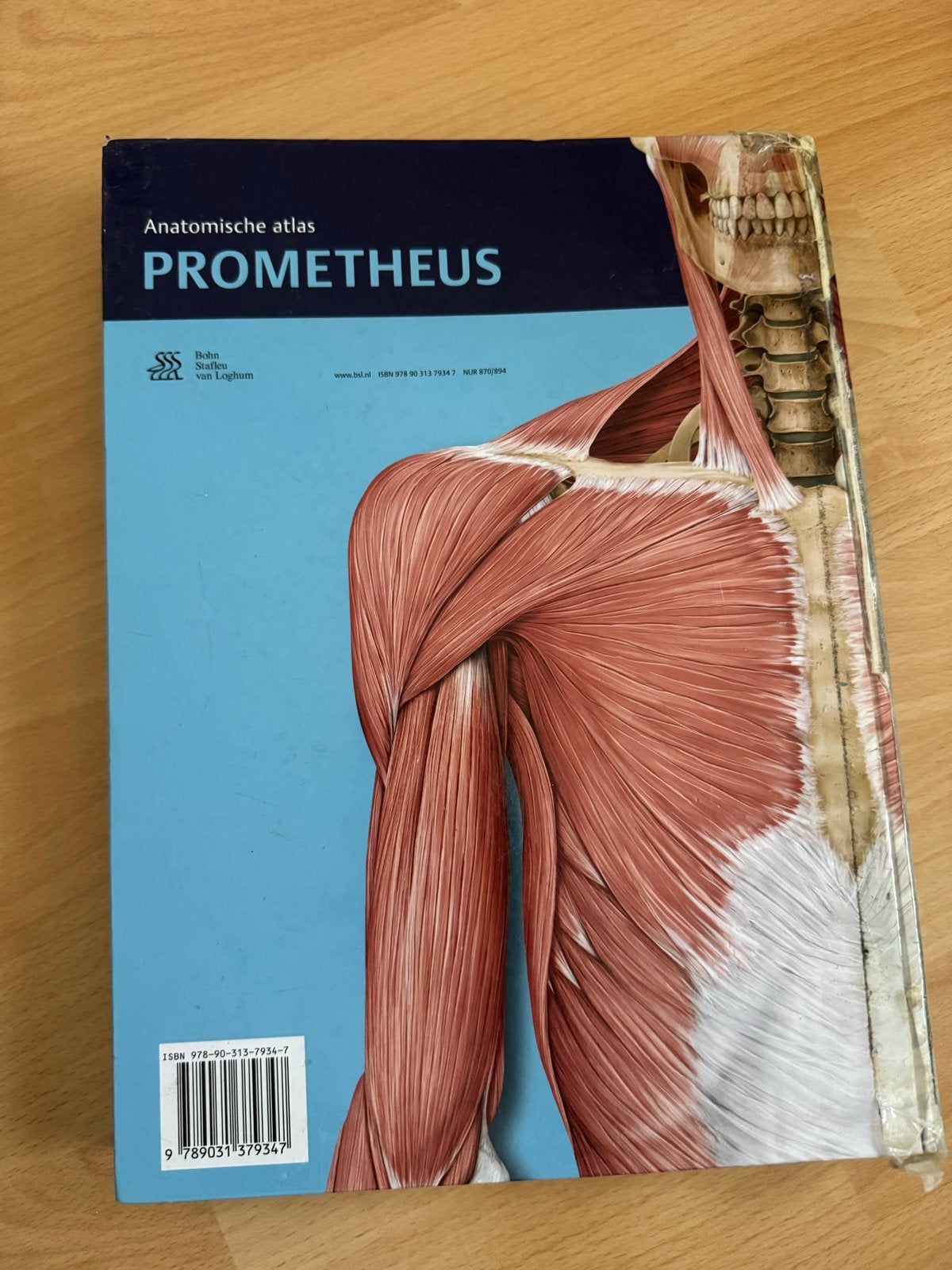 Prometheus Anatomische Atlas: Algemene anatomie en bewegings, Ophalen of Verzenden, Beta, Gelezen, HBO