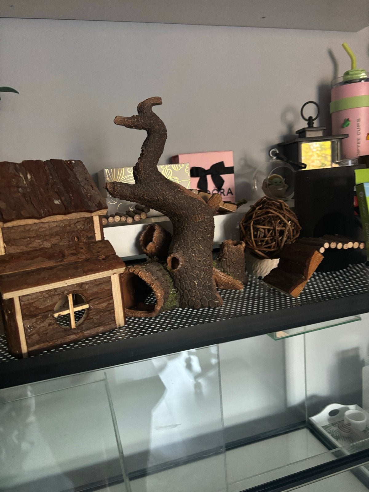 Groot terrarium met accessoires, Ophalen, Zo goed als nieuw