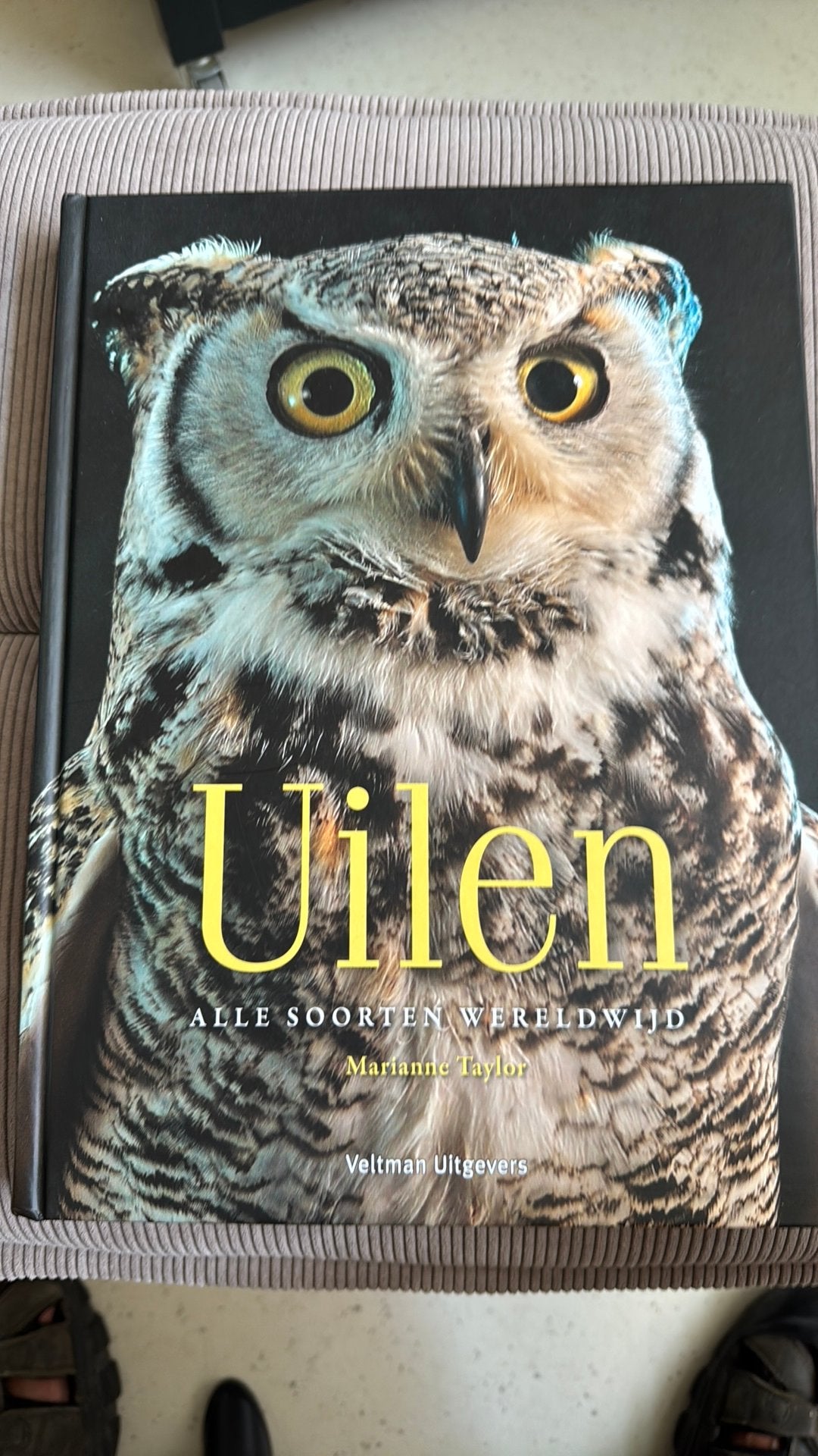 Marianne Taylor - Uilen, Boeken, Marianne Taylor, Ophalen of Verzenden, Zo goed als nieuw, Vogels
