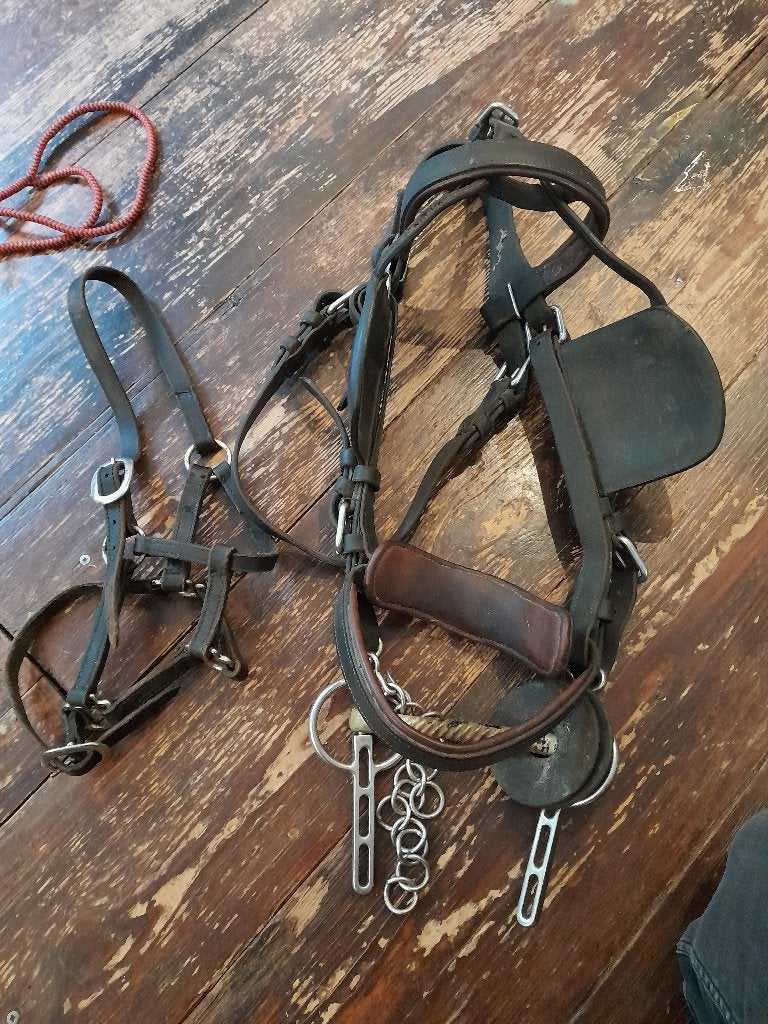 Menhoofdstel maat Full en leren halster, Dieren en Toebehoren, Ophalen of Verzenden, Full, Overige merken, Hoofdstel