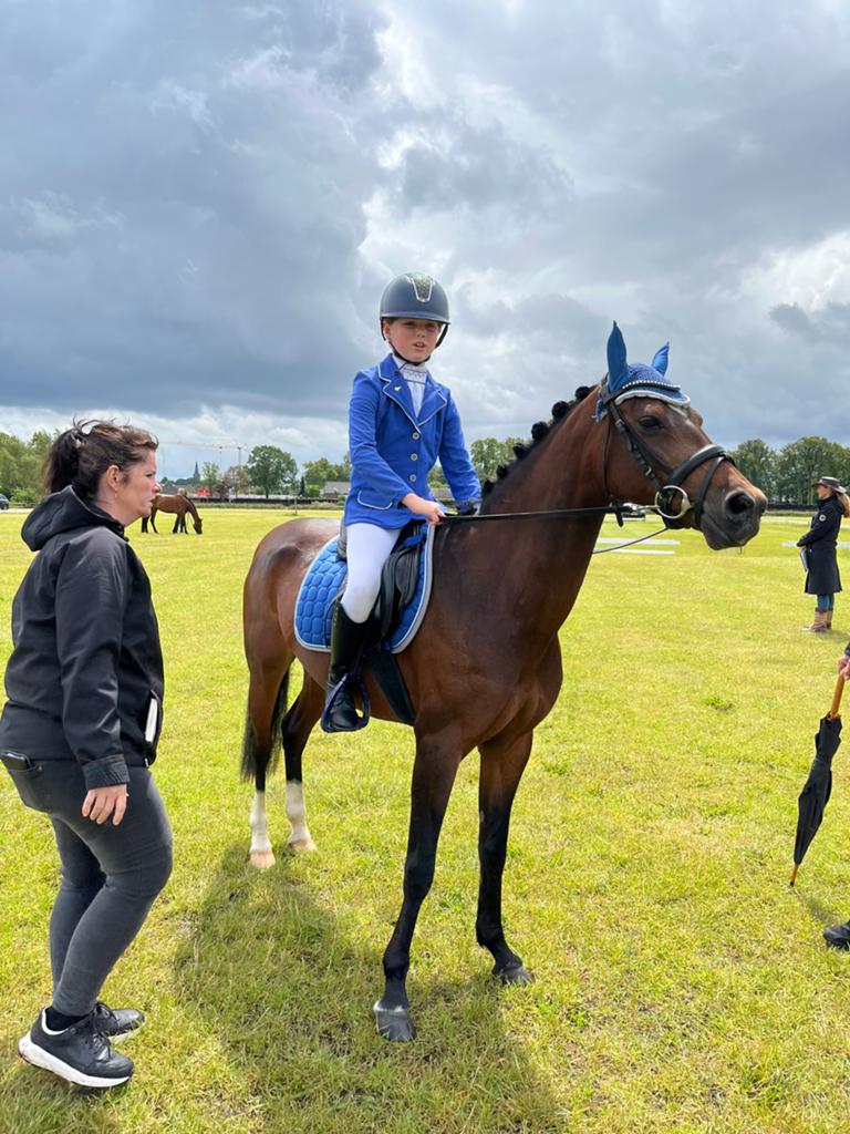 Super brave c pony merrie, Dieren en Toebehoren, Pony's, B, Springpony, C pony (1.27m tot 1.37m), 11 jaar of ouder