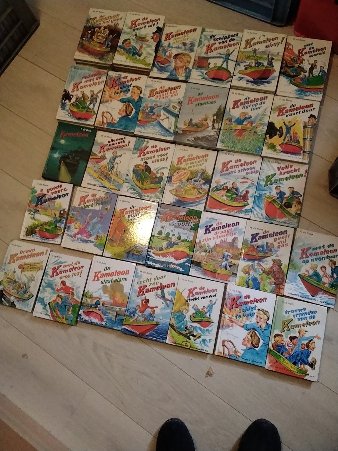 h . de roos de kameleon boeken € 1 per stuk zie omschrijving, Ophalen of Verzenden, Gelezen