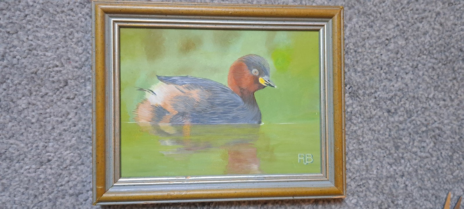 Schilderij Dodaars in water - Ron Brinkman, Ophalen of Verzenden