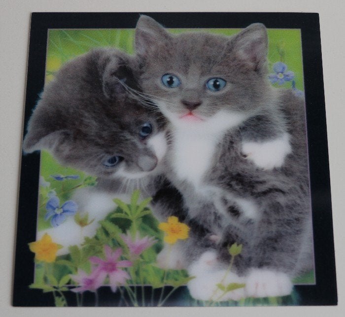 Grote vierkante 3D kaart poezen / kittens, nieuw, Verzamelen, Ansichtkaarten | Dieren, Ophalen of Verzenden, 1980 tot heden, Ongelopen