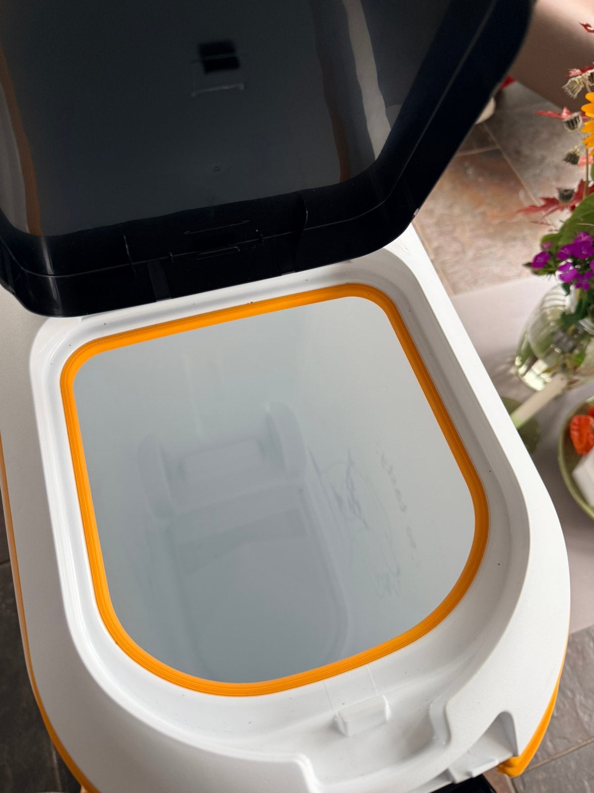 Curver box 54liter, Ophalen, Hond