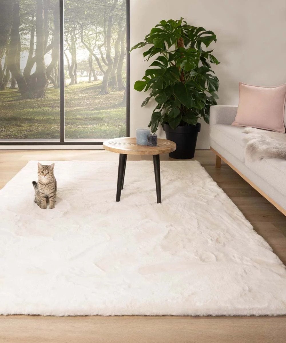 Extreem Zacht Fluffy Vloerkleed 140x200cm Wit, Ophalen, Modern, Fluffy, Comfortabel, 100 tot 150 cm, Wit