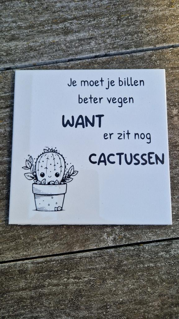 Grappige handgemaakte tegels - Uniek cadeau!, Ophalen of Verzenden, Nieuw