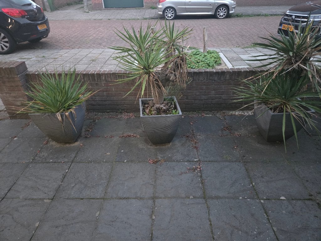 3 bloempotten, Ophalen, Gebruikt, Rond, Tuin